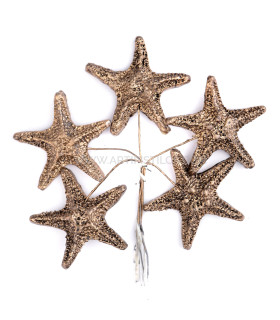 Estrella De Mar De Porcelana Fría 3,5 Cm Bronce - tocados para