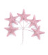 ESTRELLA DE MAR DE PORCELANA FRÍA 3,5 CM