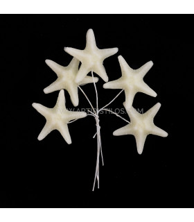 Estrella De Mar De Porcelana Fría 3,5 Cm Blanco Mate - tocados para