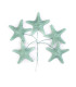 ESTRELLA DE MAR DE PORCELANA FRÍA 3,5 CM