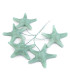 FLOR DE PORCELANA FRÍA ESTRELLA MAR 3,5 CM