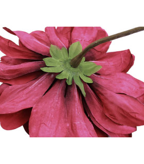 Dalia De Tela "georgina" Burdeos - flores para decorar