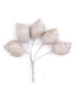 COLD PORCELAIN FLOWER SMOOTH SNAIL 2 X 1,5CM