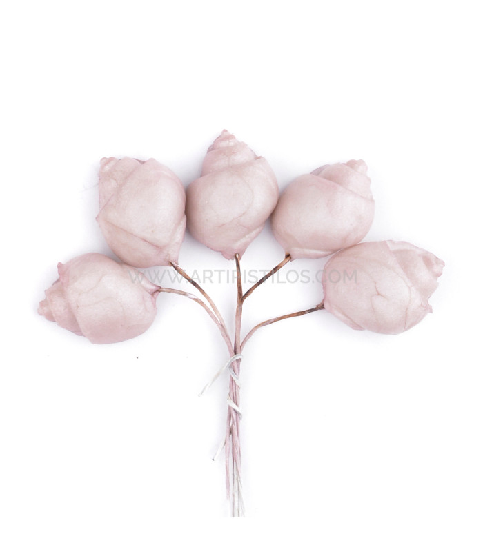 COLD PORCELAIN FLOWER SMOOTH SNAIL 2 X 1,5CM
