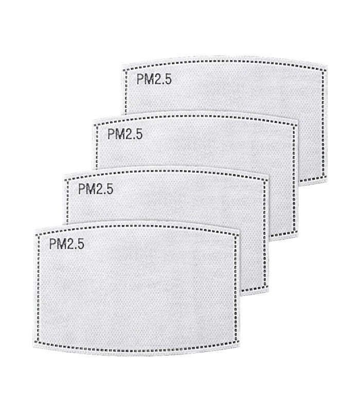 Active carbon protection filter PM2.5