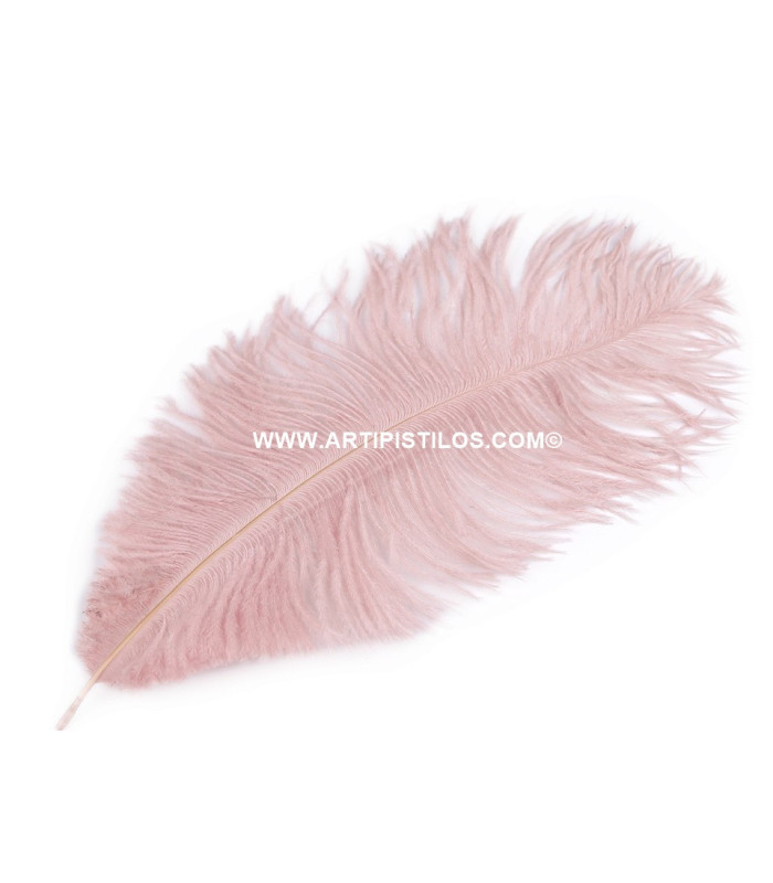 Ostrich Feather length approx. 20-25 cm