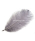 Ostrich Feather length approx. 20-25 cm