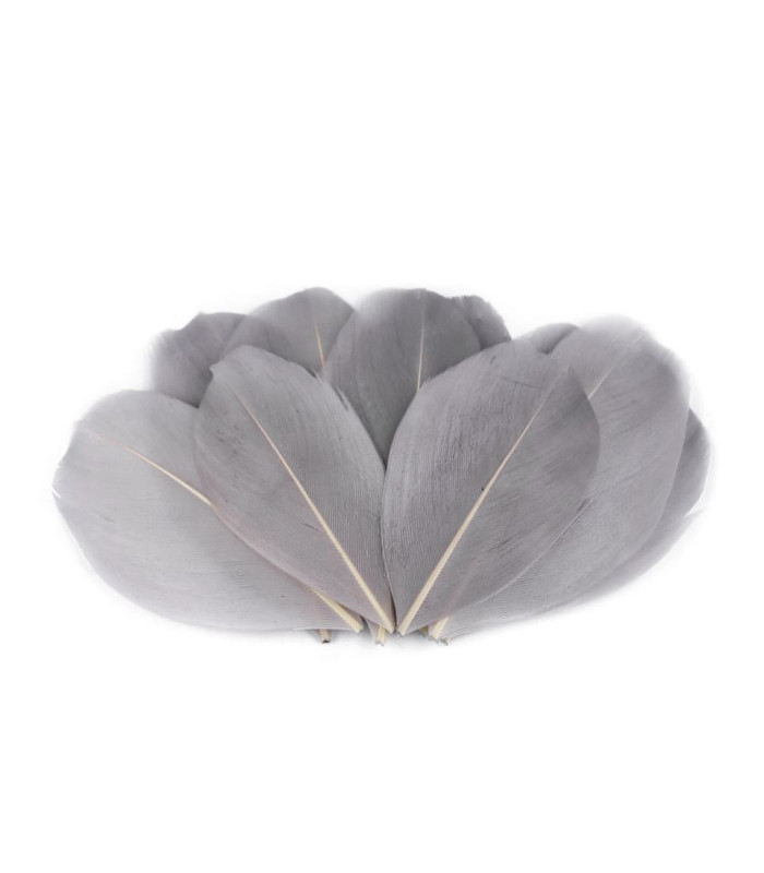 Goose feathers 5,5 - 7 cm x 10 cps
