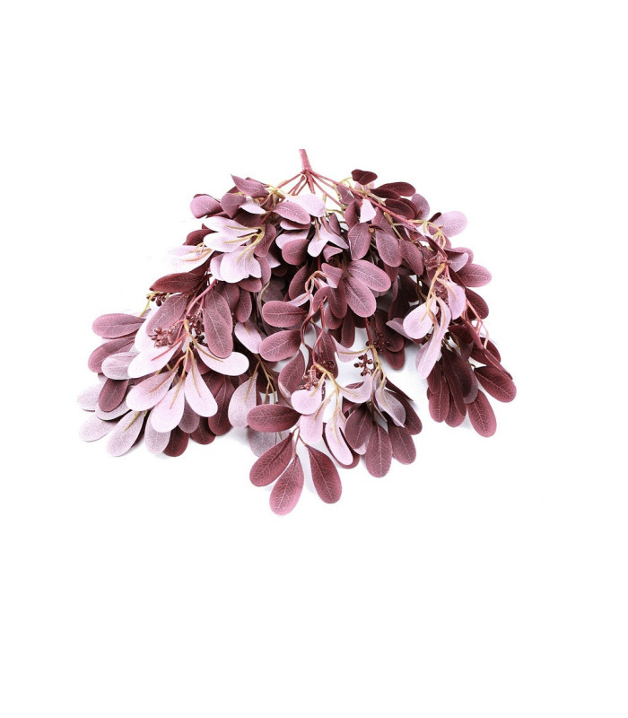 MIMOSA BOUQUET X 9 BRANCHES