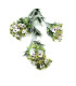CAULE DE FLORES "CELA"