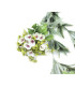 TALLO DE FLORES "CELA"