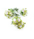 TALLO DE FLORES "CELA"