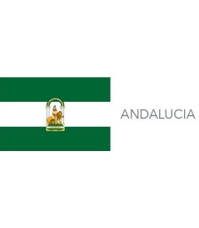 Banderas Termoadhesivas 3 x 2 cm