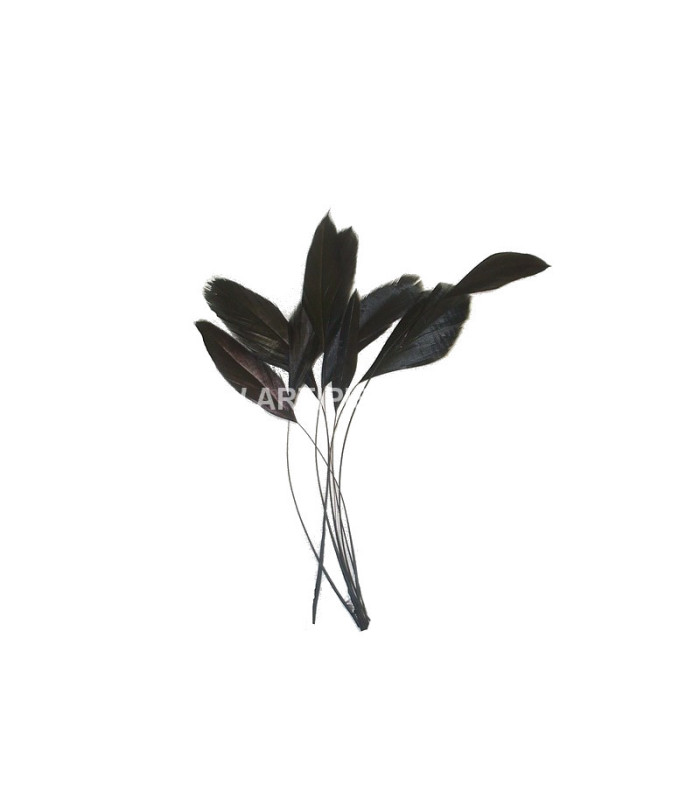 STRIPPED ROOSTER FEATHERS PACKET