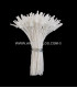 STAMENS