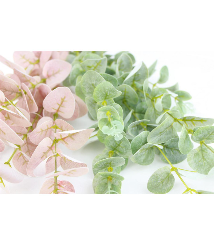 EUCALYPTUS BRANCH "GREEN BOX"