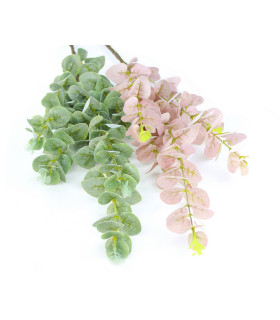 EUCALYPTUS BRANCH "GREEN BOX"