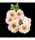 FLOWER STEM "ZINNIA"