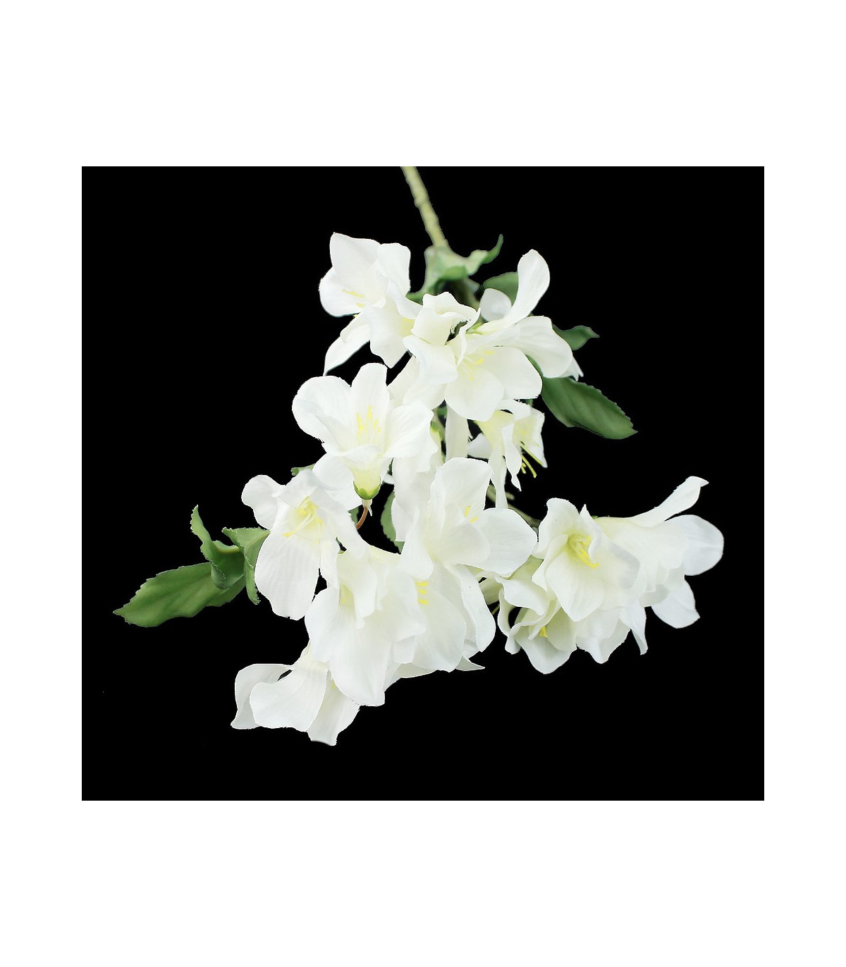 TALLO DE 18 FLORES TALLO DE 18 FLORES