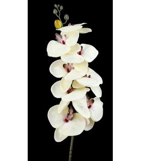 Orquidea De Tela "zinnus" Marfil - flores para decorar