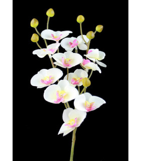Orquidea De Tela "mini" - 11 Flores Branco - tocados para
