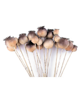 Semilla De Amapola - Flor Artificial - ramo - ramo - ramo - ramo - ramo - ramo - ramo - plástico - plástico - plástico - plástico - plástico - plástic