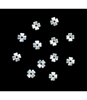 Nacar Flower No. 7