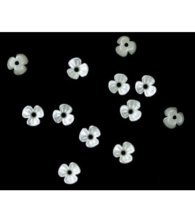Nacar Flower No. 5