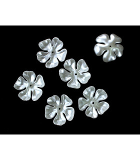 Nacar Flower No. 1
