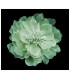 FLOR DE TELA "RUNA" 14 cm