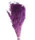 FLOR PRESERVADA PARA DECORACION DE TOCADOS Y CORONITAS