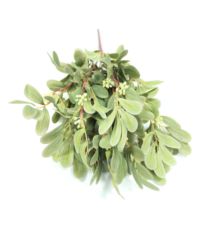 MIMOSA BOUQUET X 9 BRANCHES