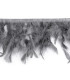 Trimming Turkey Feathers