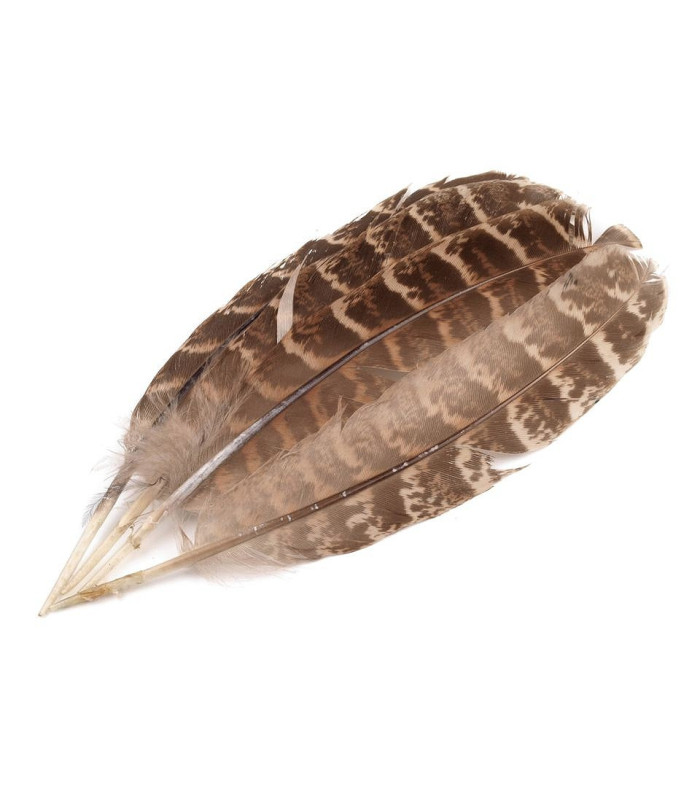 Pheasant FEATHERS 10-18cm