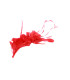 MONTAJE DE PLUMAS GALLO, ÁNADE Y OCA