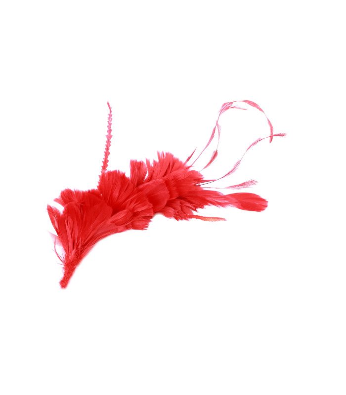 MONTAJE DE PLUMAS GALLO, ÁNADE Y OCA