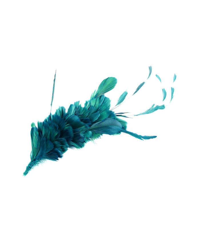 MONTAJE DE PLUMAS GALLO, ÁNADE Y OCA