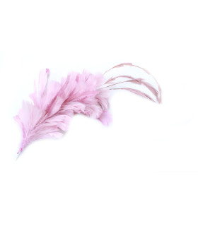 Feathers Mounts Of Rooster, Duck And Goose Old Rose - hats