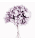 HORTENSIA PRESERVADA