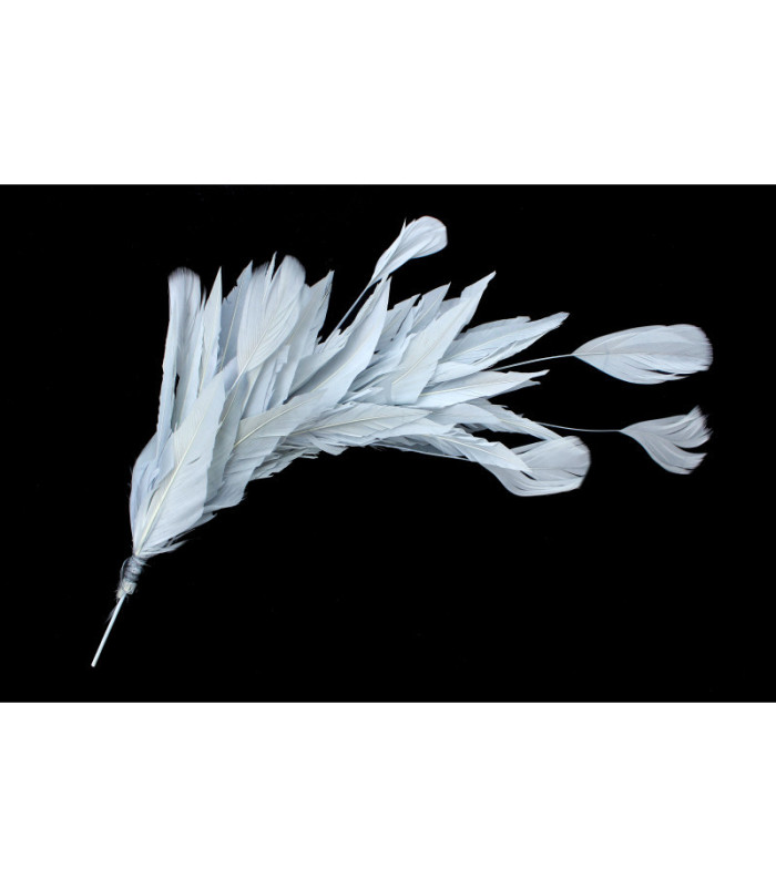 MONTAJE DE PLUMAS DE PATO Y ANTENA DE GALLO