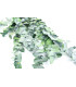 EUCALYPTUS BRANCH "NATURE"