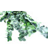 BRANCH OF EUCALYPTUS "HALLERBOS"
