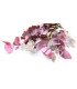 EUCALYPTUS BRANCH "NATURE"