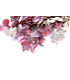 EUCALYPTUS BRANCH "NATURE"