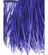 GOOSE BIOT FEATHER FIRST QUALITY -  10 CMS.