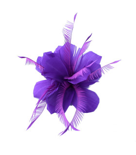 MONTAJE DE PLUMAS DE PATO Y OCA BIOT