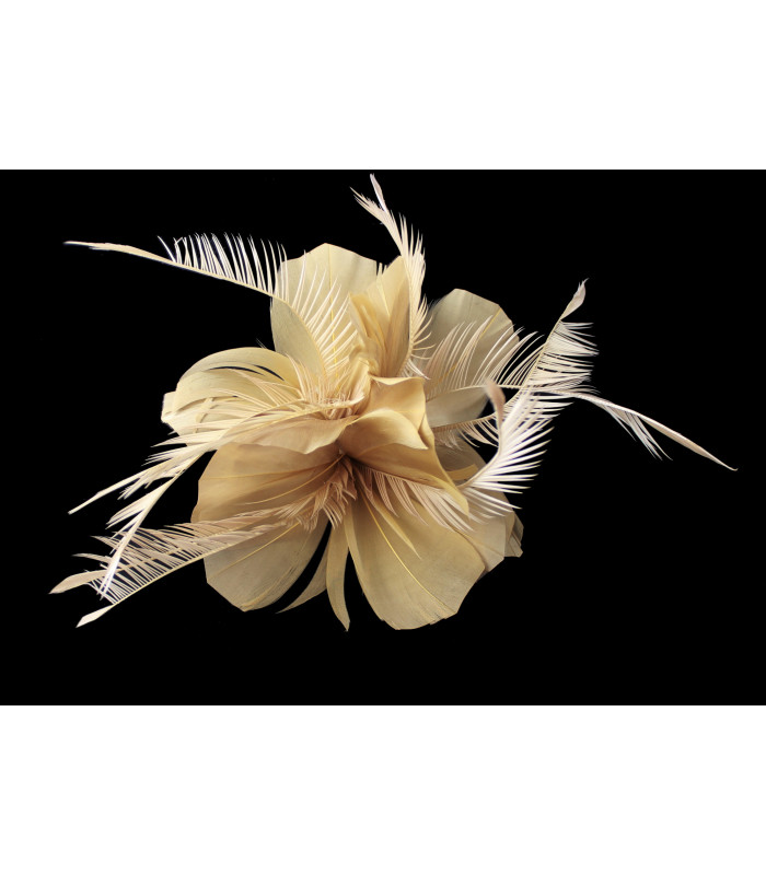 FEATHER MOUNT OF DUCK AND GOOSE BIOT