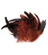 FEATHER ROOSTER BAG 10-17 CMS.