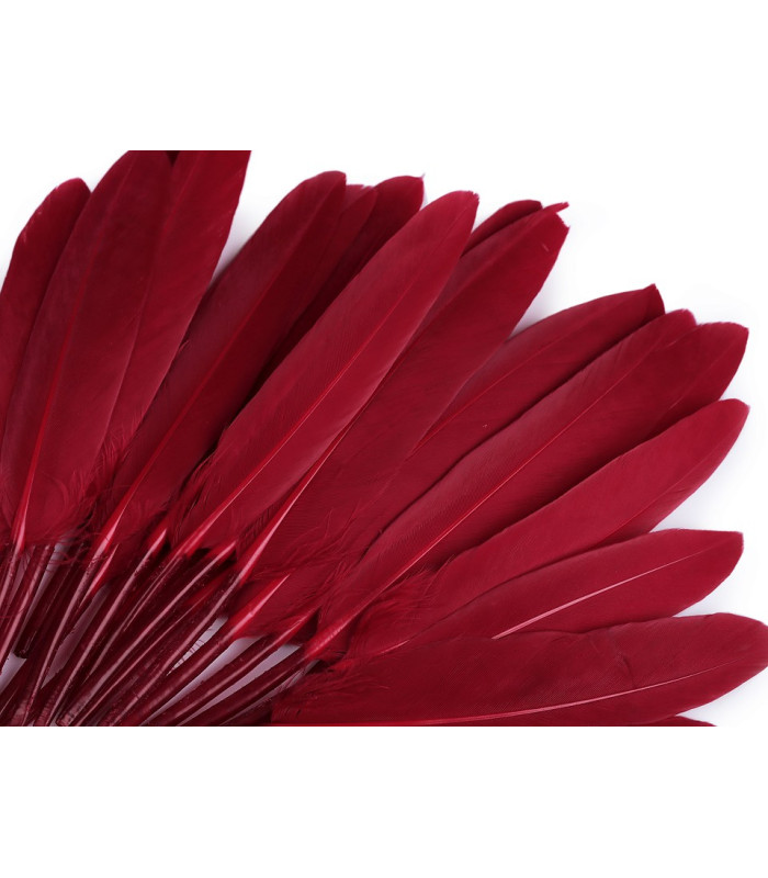 BOLSA 20 PLUMAS DE PATO 9-14 CMS.