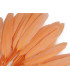 BOLSA 20 PLUMAS DE PATO 9-14 CMS.